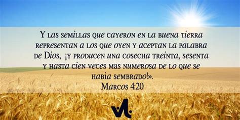 Marcos 4:20 .